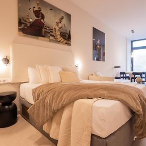 Zolderappartement met 1 Slaapkamer